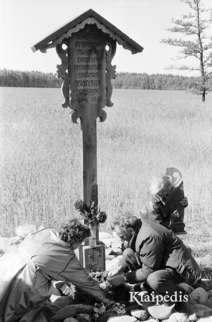 pavadinimas:  Gėlės Martynui Reizgiui. Jurgių kaime, raktai:  