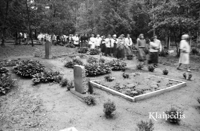 pavadinimas: Bitėnų kapinaitėse, raktai: Bitėnų kapinaitės
